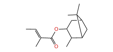 iso-Pinocamphyl (E)-2-methyl-2-butenoate